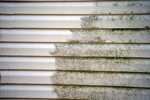 Siding Removal and Disposal in Stonebridge, NJ